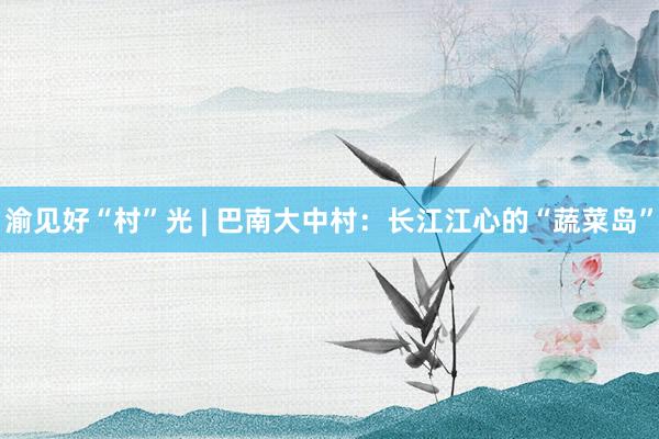 渝见好“村”光 | 巴南大中村：长江江心的“蔬菜岛”
