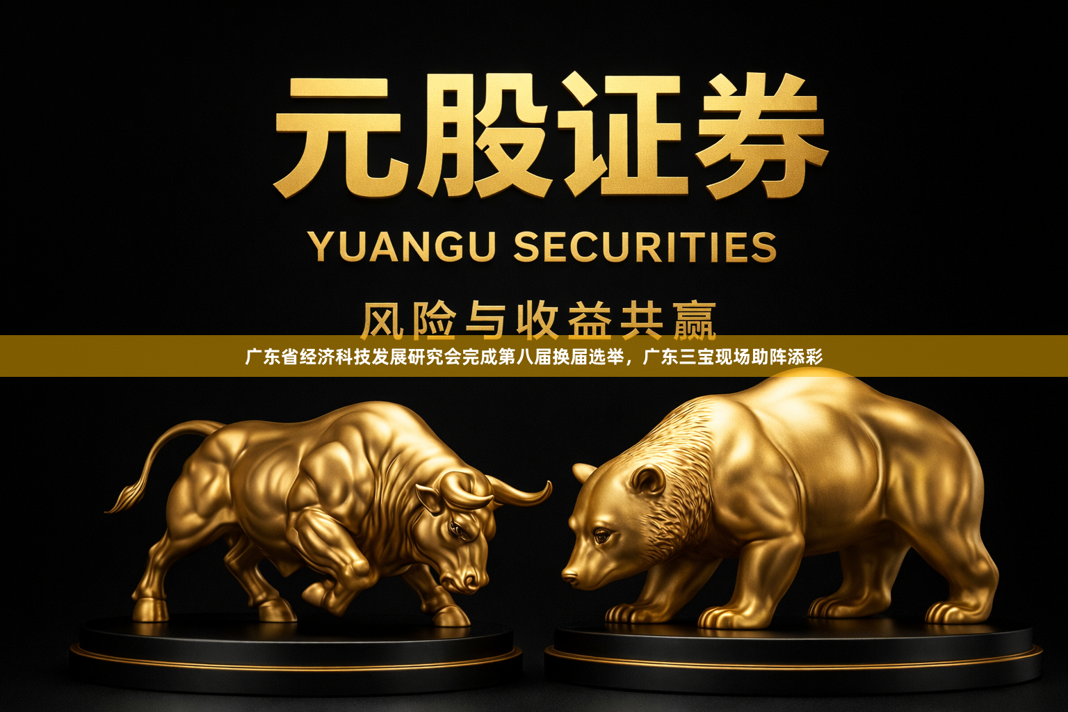广东省经济科技发展研究会完成第八届换届选举，广东三宝现场助阵添彩