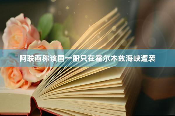阿联酋称该国一船只在霍尔木兹海峡遭袭