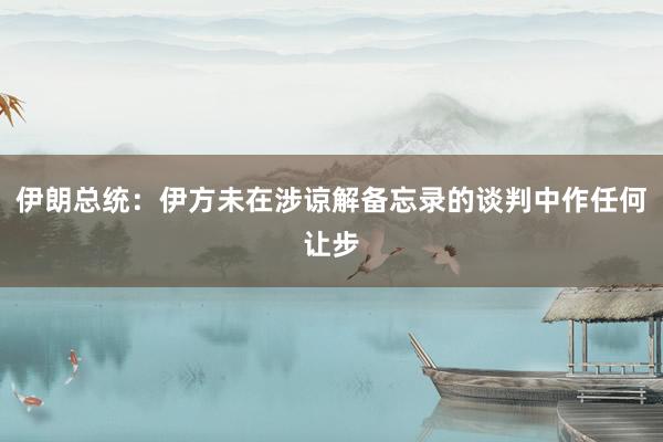 伊朗总统：伊方未在涉谅解备忘录的谈判中作任何让步