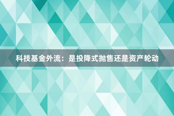 科技基金外流：是投降式抛售还是资产轮动